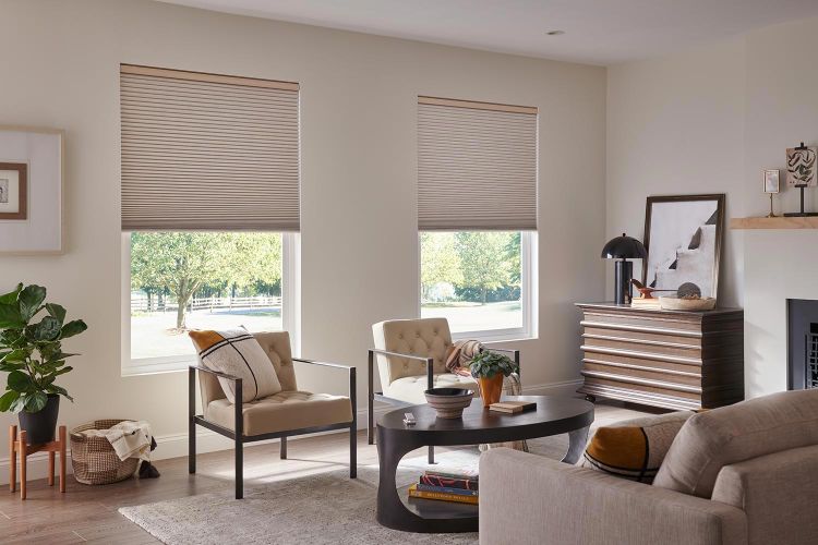 Lutron Shading in a neutral colored living room