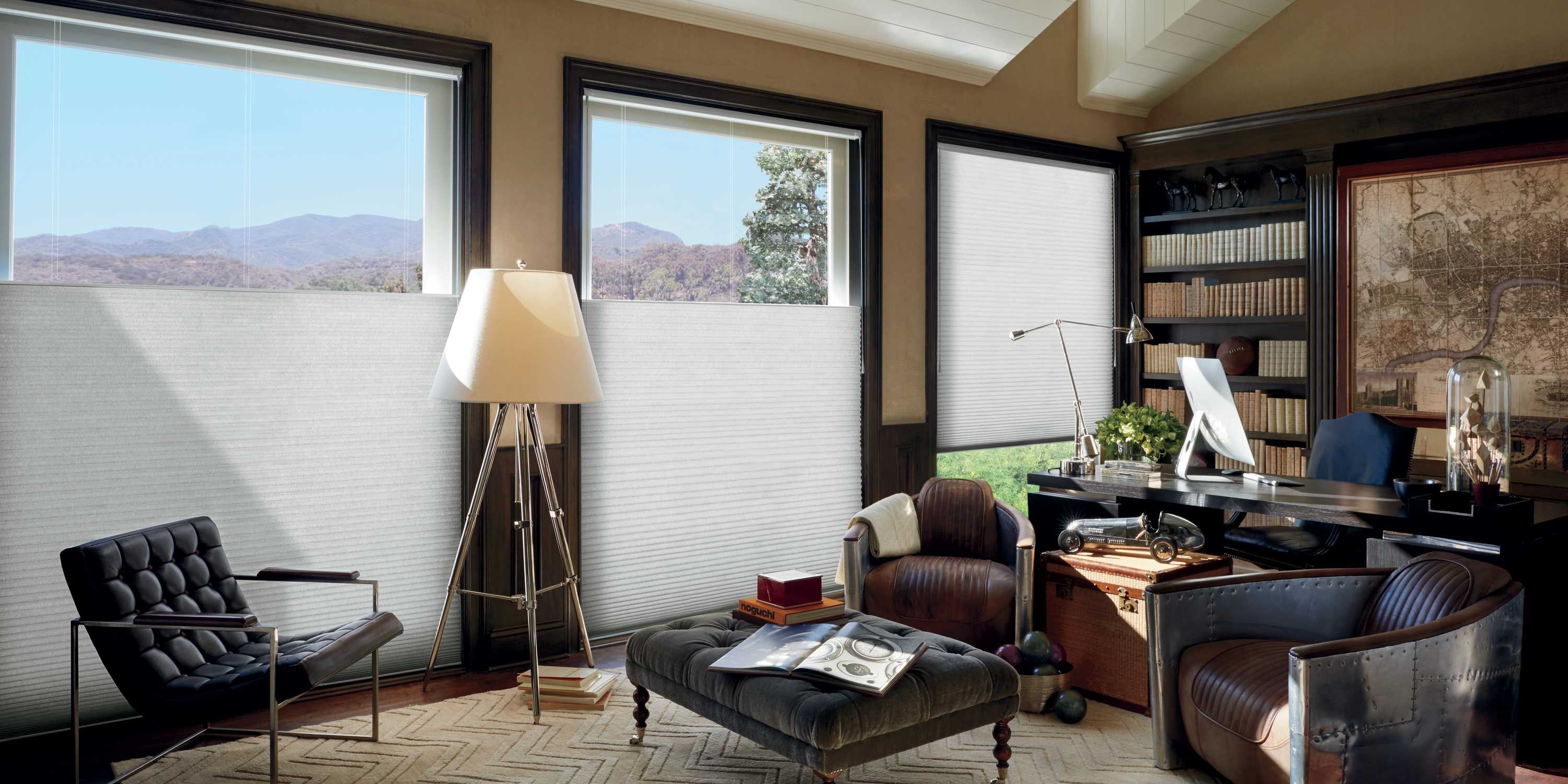 home office with hunter douglas shades
